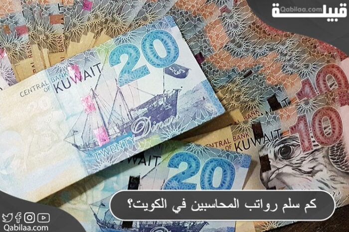 كم سلم رواتب المحاسبين في الكويت 2024 من الفئة الأولى والثانية