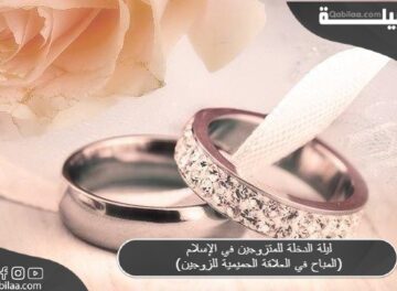 ليلة الدخلة للمتزوجين في الإسلام (المباح في العلاقة الحميمية للزوجين)