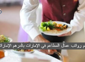 سلم رواتب عمال المطاعم في الإمارات بالدرهم الإماراتي